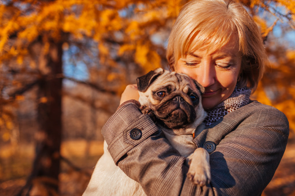 Woman walking pug dog in autumn park. Happy lady hugging pet. Best friends spend time together